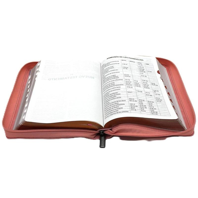 Biblia Para Mujeres Reina Valera 1960 Letra Grande De 12 Puntos Rosada Tamano Manual Con Cierre Y Indice Semil Piel Edicion Limitada Mas La Palabra Del Dios Permanece