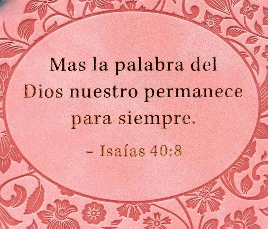 Biblia Para Mujeres Reina Valera 1960 Letra Grande De 12 Puntos Rosada Tamano Manual Con Cierre Y Indice Semil Piel Edicion Limitada Mas La Palabra Del Dios Permanece